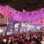 NOTTE ROSA RIMINI