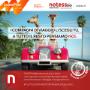 Notess Renting Agenzia Leaseplan Milano 1 noleggio a lungo termine