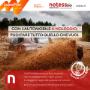 Notess Renting Agenzia Leaseplan Milano 1 noleggio a lungo termine