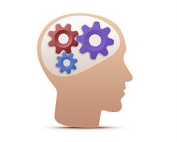 SFWEB - Web Agency