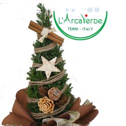 Vivaio L'Arcaverde