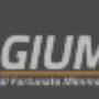 Gallery Professionale
