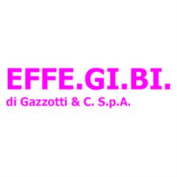 Effe.Gi.Bi. Spa