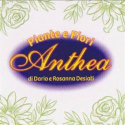 Anthea Fiori
