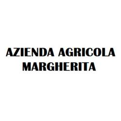 Azienda Agricola Margherita di Allerino Fratelli