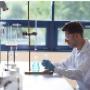 Laboratorio Interno