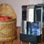 Kaffe Shardana
