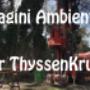 Indagini ambientali  per ThyssenKrupp
