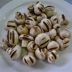 Ortocotto