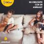 Gallery Cliente