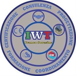 International Welding Technologist