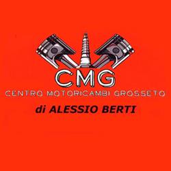 Centro Motoricambi Grosseto  Alessio Berti