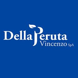 Della Peruta Vincenzo spa