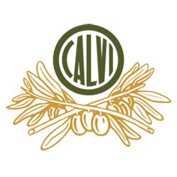 Giuseppe Calvi & C. srl