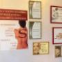 Gallery Professionale