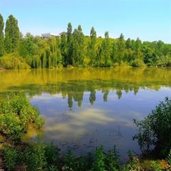 Oasi Naturalistica Le Fonti del Vascello