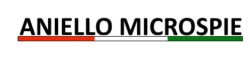 Aniello Microspie