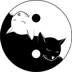 Centro Olistico Club del Gatto CAT