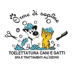 Orme di Sapone