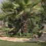 Levangarden Impianti di Irrigazione