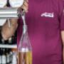 Gallery Professionale