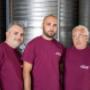 Gallery Professionale
