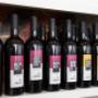 Gallery Professionale