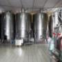 Gallery Professionale