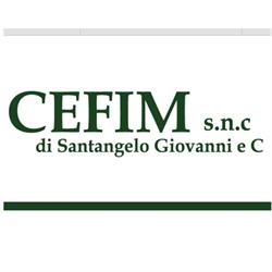 Cefim SNC