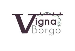 Vigna del Borgo