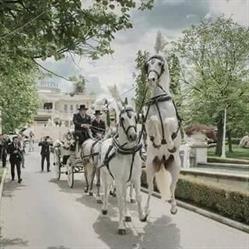 I CAVALIERI DELLA PERGAMENA BIANCA GRUPPO EQUESTRE