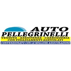Autopellegrinelli