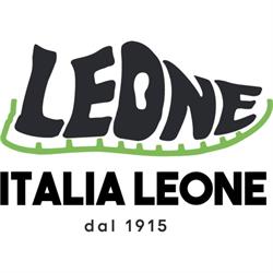 Italia Leone Societa' a Responsabilita' Limitata Semplificata