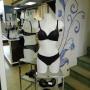 Intimo