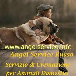 Angel Service Russo Cremazioni Animali