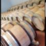 Caricato da visitatore il 08/06/2018 - Cswgsardyniawine woork in progress
