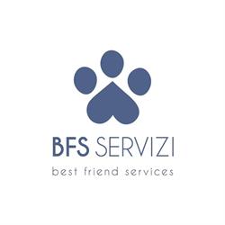 Bfs-Servizi