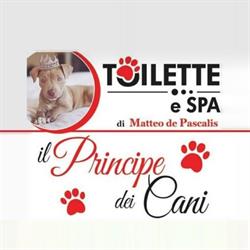 Il Principe dei Cani
