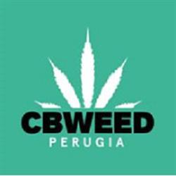 Cisl Federazione Territoriale Pensionati Perugia