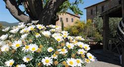 B&B Casa di campagna in toscana