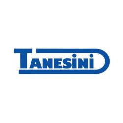 M.E.F. Tanesini - Brico Center