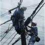 Linee Elettriche