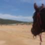 Passeggiate a Cavallo Alghero