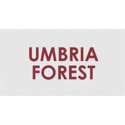 Umbria Forest Srl