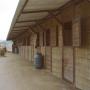 Horse Jumping 8