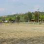 Horse Jumping 4