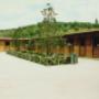Horse Jumping 7