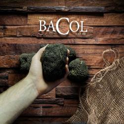 Bacol Tartufi - Truffle Products From Italy - Molise