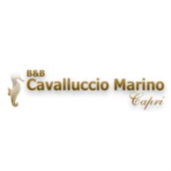 B&B Cavalluccio Marino
