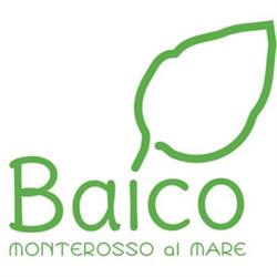 Baico Pesto Lab